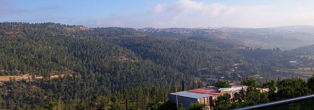 Ein Kerem Hotel Jeruzsálem Kültér fotó